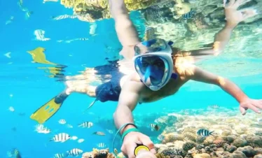 Half-Day Private Snorkel Escape