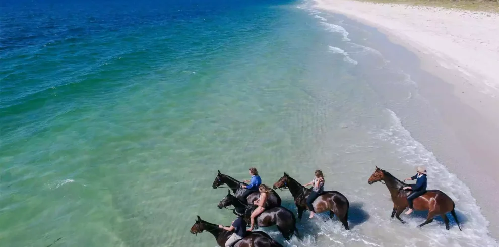 Horse Riding