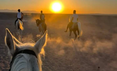 The Desert Horse: Ride Through Majestic Dunes